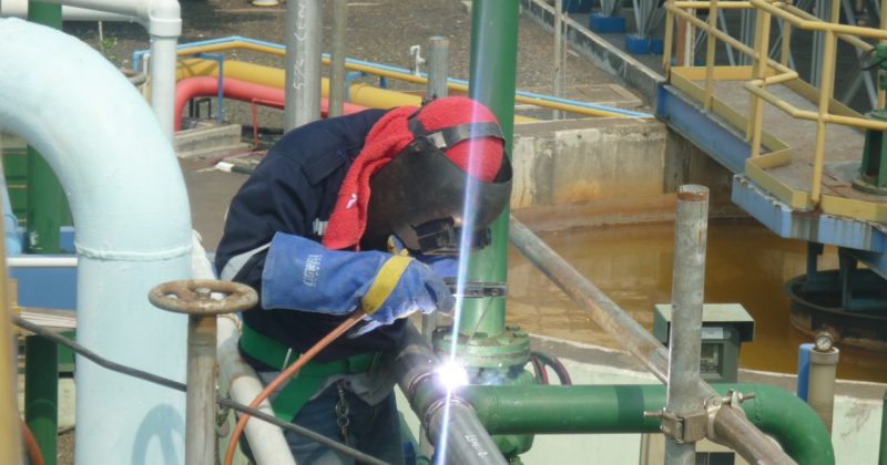 WhatsApp Image 2020-08-11 at 00.02.14