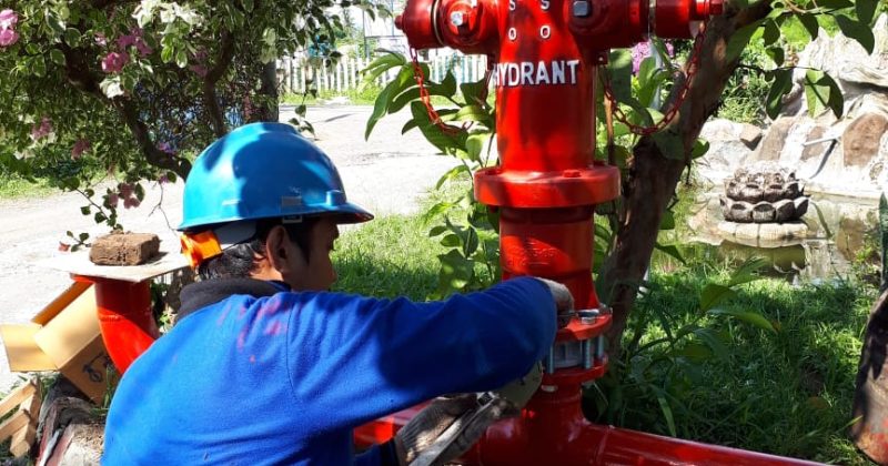 WhatsApp Image 2020-08-11 at 00.04.46