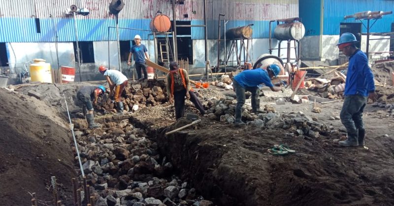 WhatsApp Image 2020-08-11 at 18.42.13